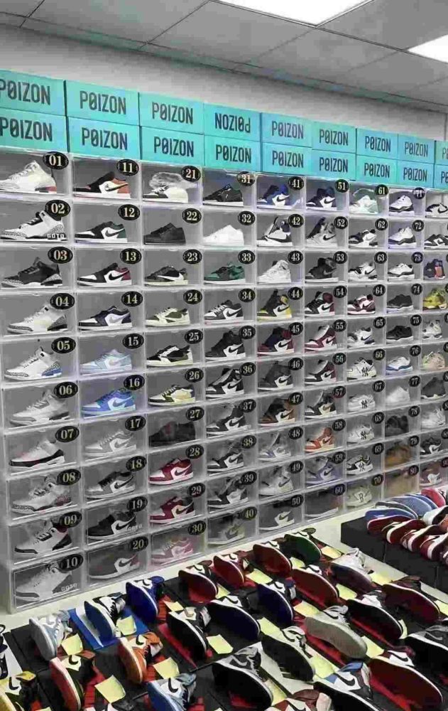 Showcase 4